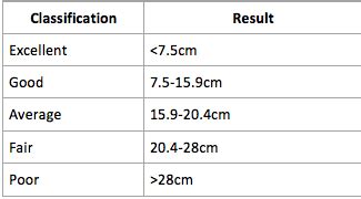 stick drop test results|ruler drop test chart.